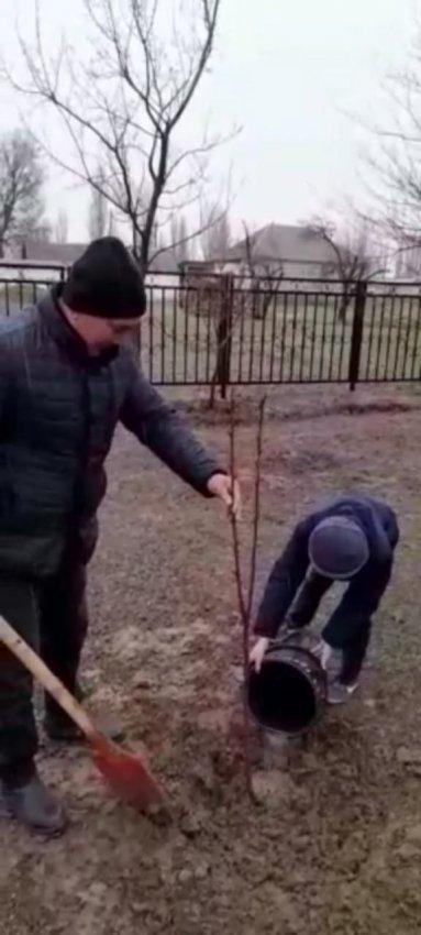 №14 Бейімбет Майлин атындағы орта мектебі "Таза табиғат" республикалық акциясы аясында "Әр отбасынан бір ағаш" челленджі.